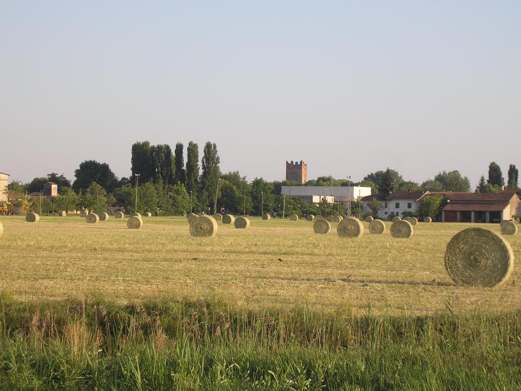 Reggiolo Agriturismo Boschi מראה חיצוני תמונה